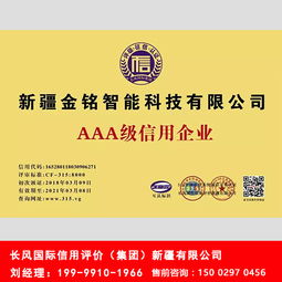 為什么選擇長風國際，新疆經驗豐富的企業信用評級專家