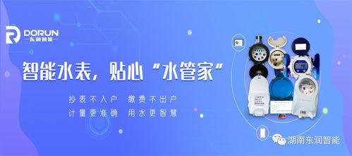 東潤智能 拍了拍 你 智慧水務“粽”有愛，智能開發沁人心
